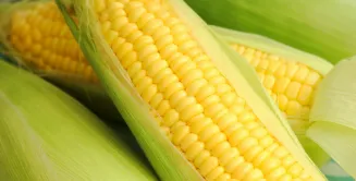 スイートコーン